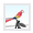Crow Clock Shorts