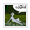 Mr Fourchinnigan Comic Strip